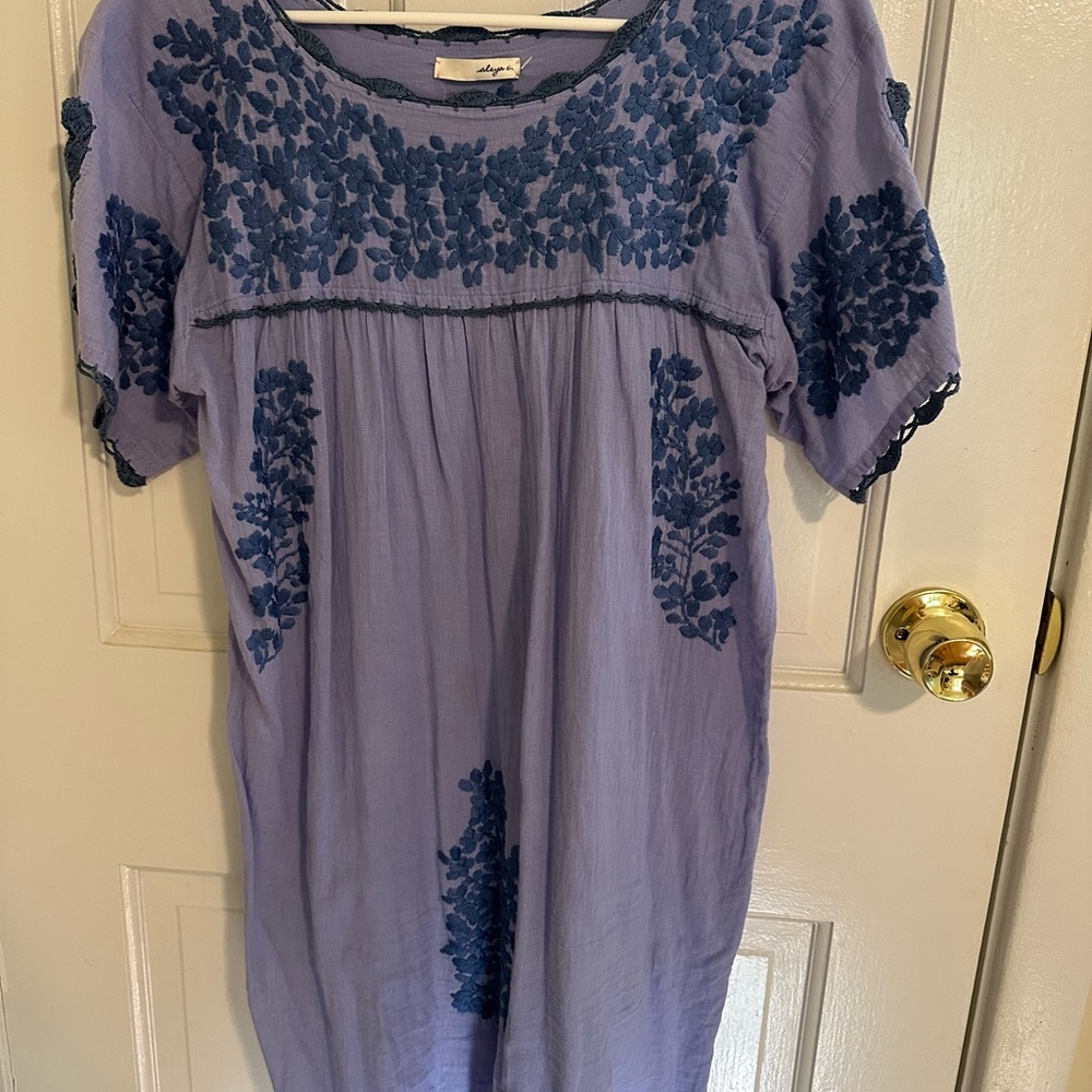 Blue Embroidered Mini Dress